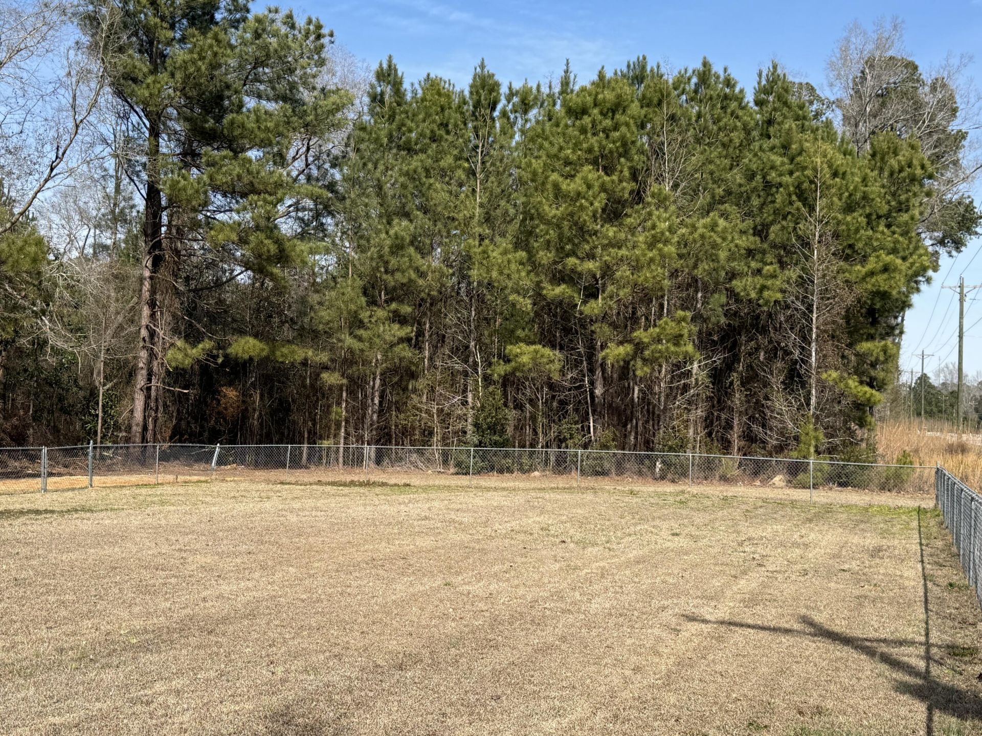 10685 Jefferies Highway Photo 21