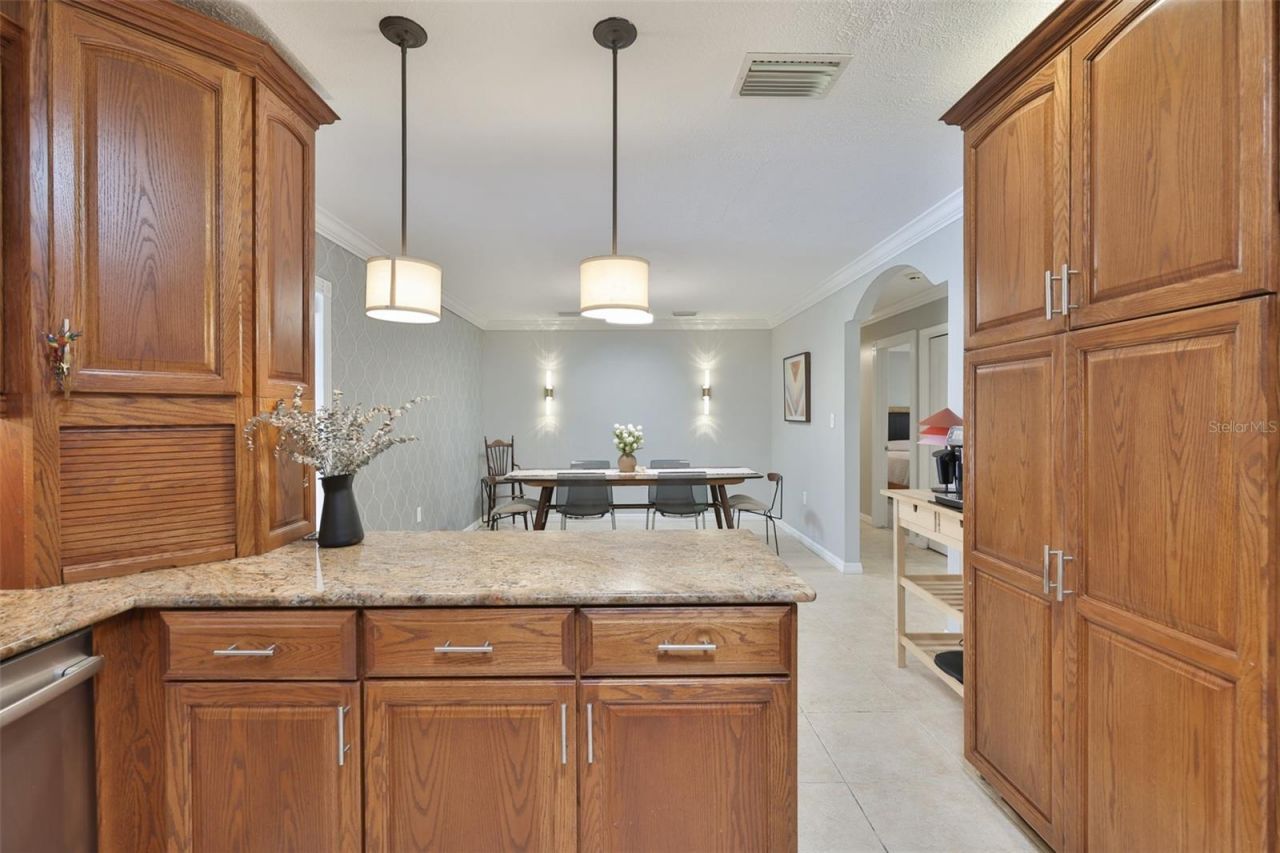 1311 Estatewood Drive, Brandon, FL 33510 Photo