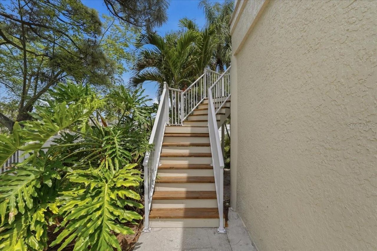 196 Shore Drive, Palm Harbor, FL 34683 Photo