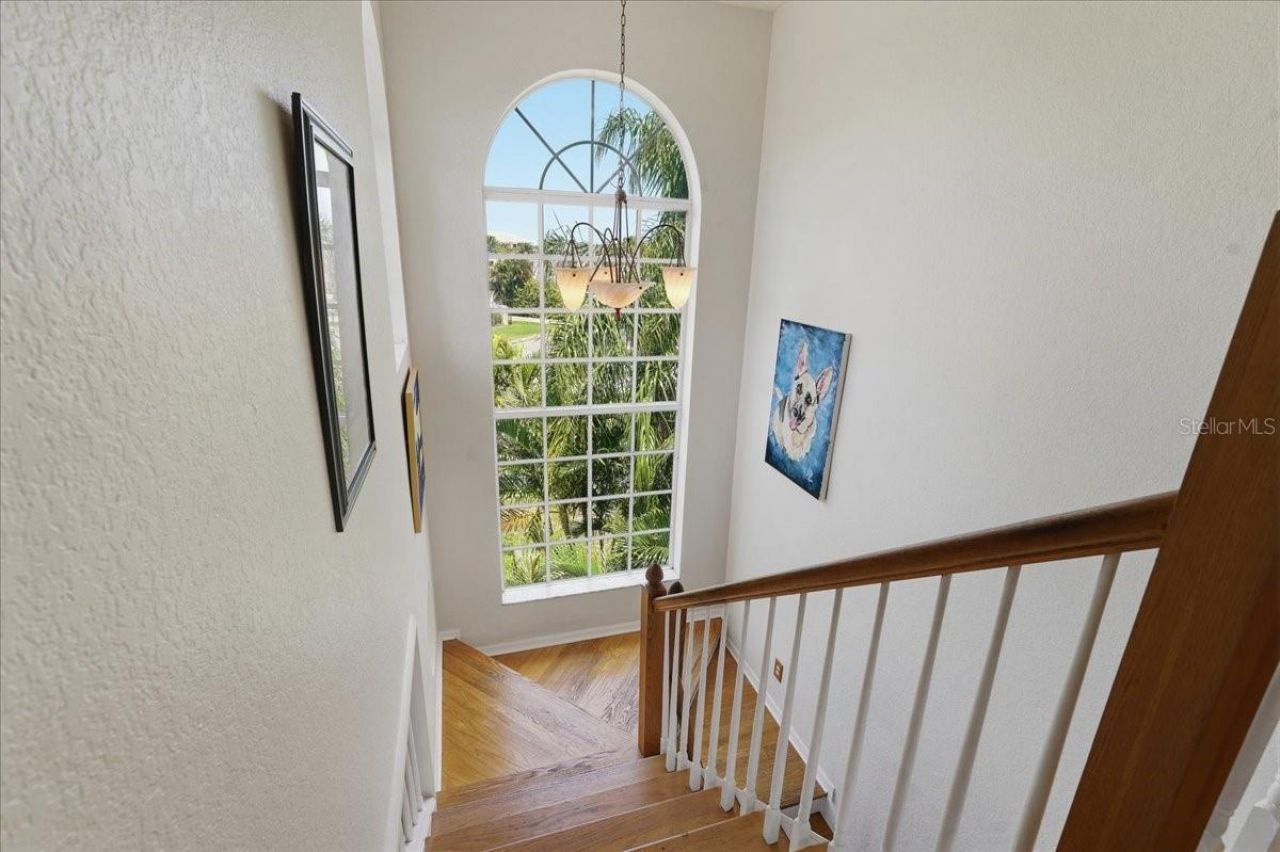 196 Shore Drive, Palm Harbor, FL 34683 Photo