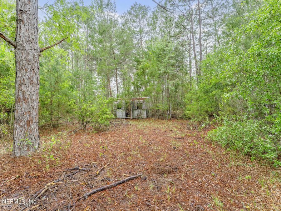 Property Image 48