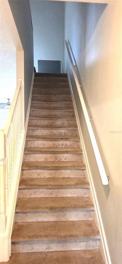 2729 Conch Hollow Drive, Brandon, FL 33511 Photo