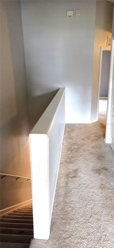 2729 Conch Hollow Drive, Brandon, FL 33511 Photo