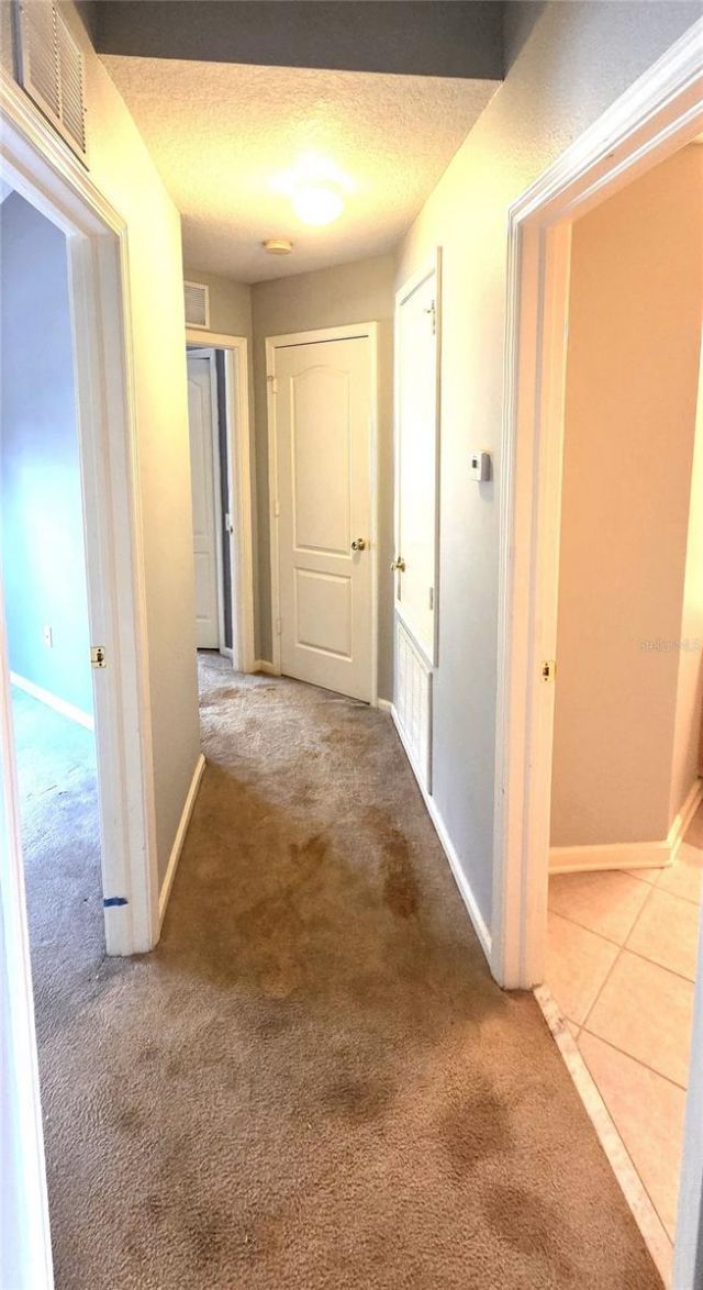 2729 Conch Hollow Drive, Brandon, FL 33511 Photo