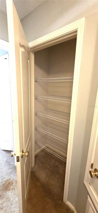 2729 Conch Hollow Drive, Brandon, FL 33511 Photo