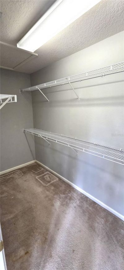 2729 Conch Hollow Drive, Brandon, FL 33511 Photo