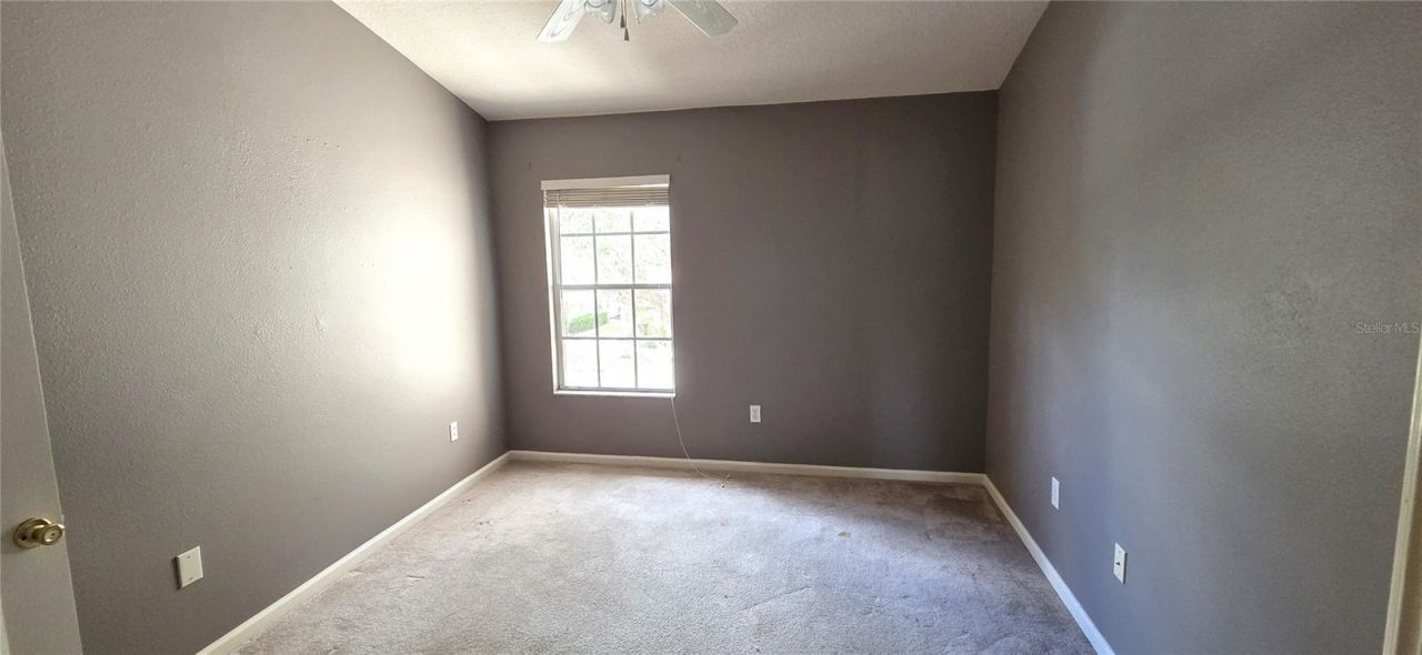 2729 Conch Hollow Drive, Brandon, FL 33511 Photo