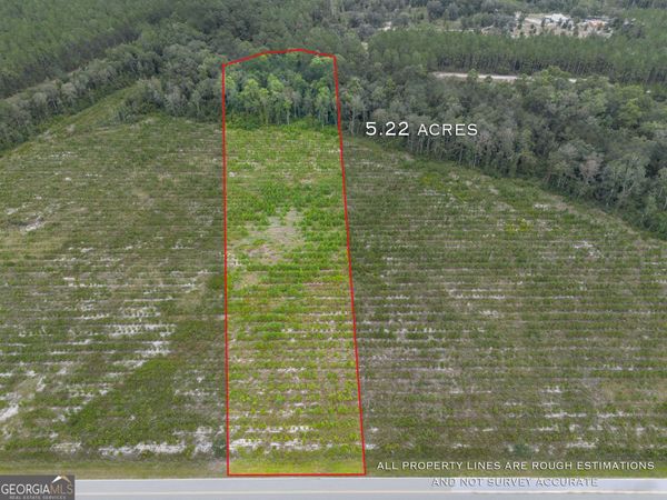 TRACT 5 River Road, Folkston, GA 31537