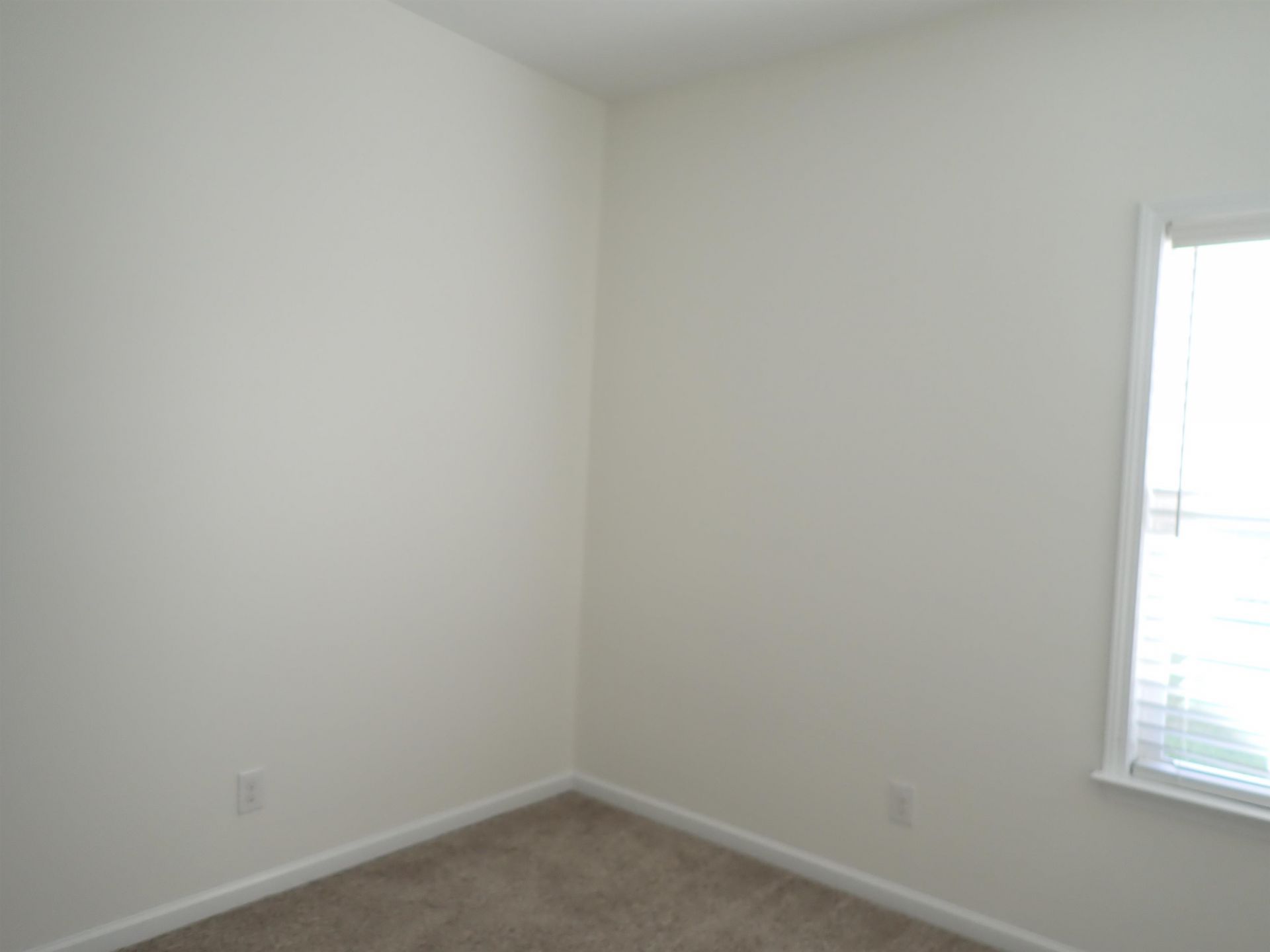 112 Palm Terrace Loop Photo 13