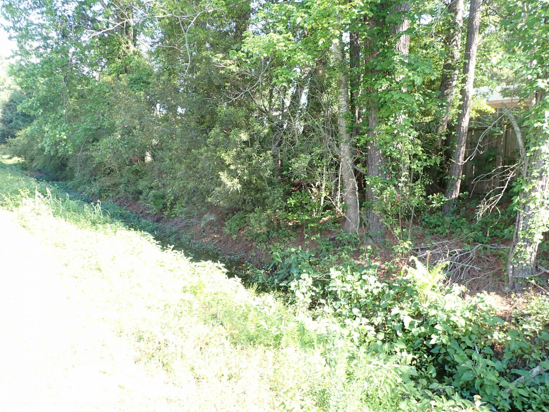 112 Palm Terrace Loop Photo 18