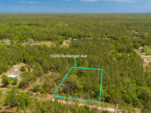 10260 Beckenger Ave, Hastings, FL 32145