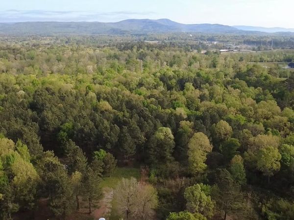 TBD Suzie Ln, Mena, AR 71953