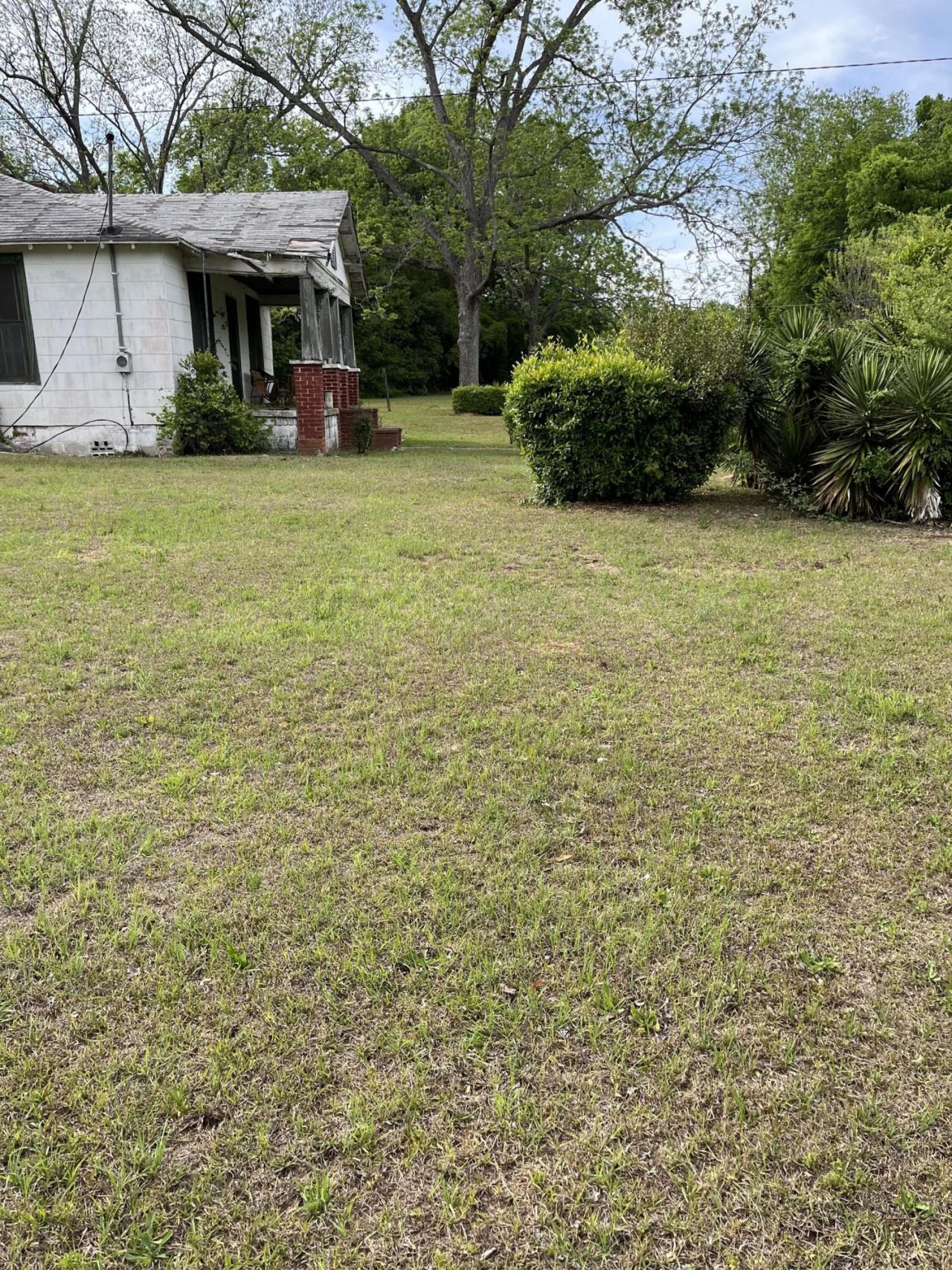 0 Dexter Street Photo 11