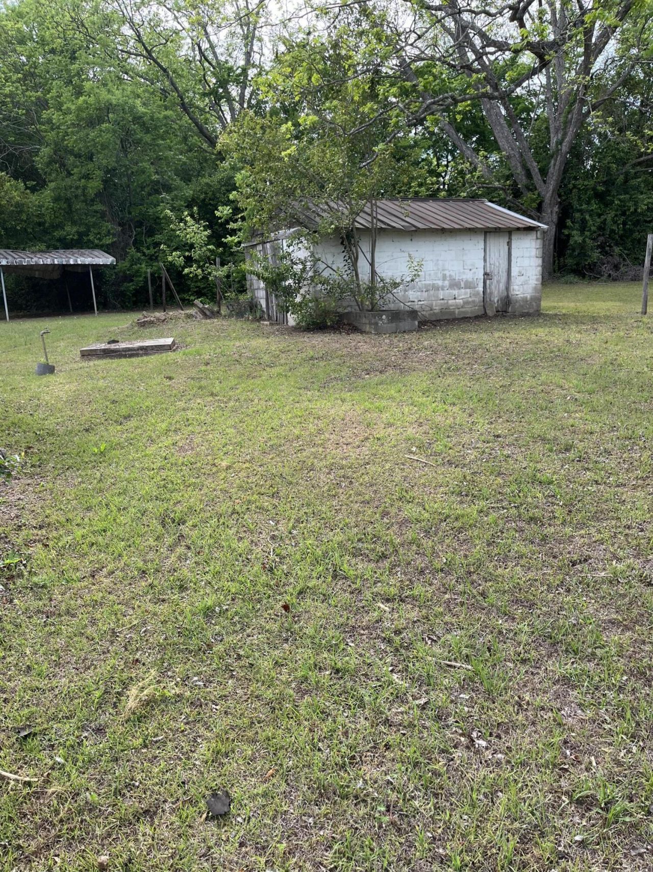 0 Dexter Street Photo 13