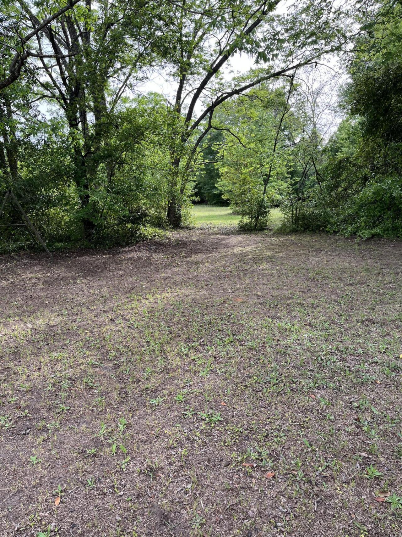 0 Dexter Street Photo 16