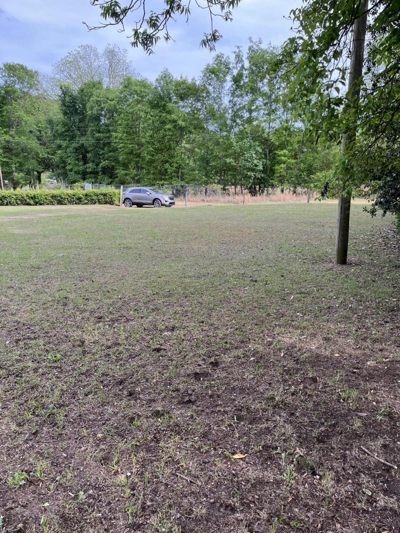 0 Dexter Street Photo 20