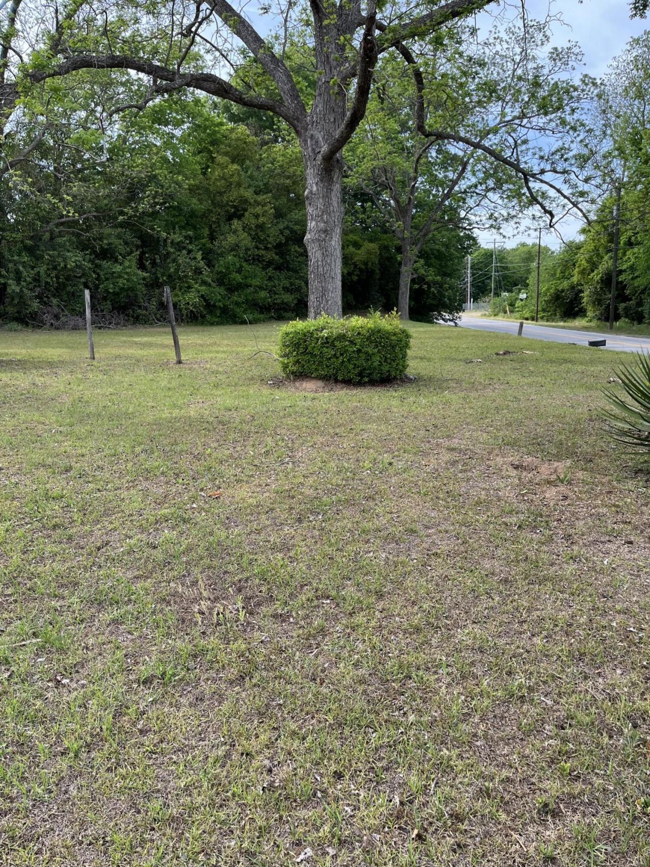 0 Dexter Street Photo 4