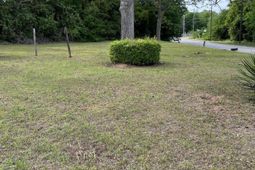 0 Dexter Street photo 4