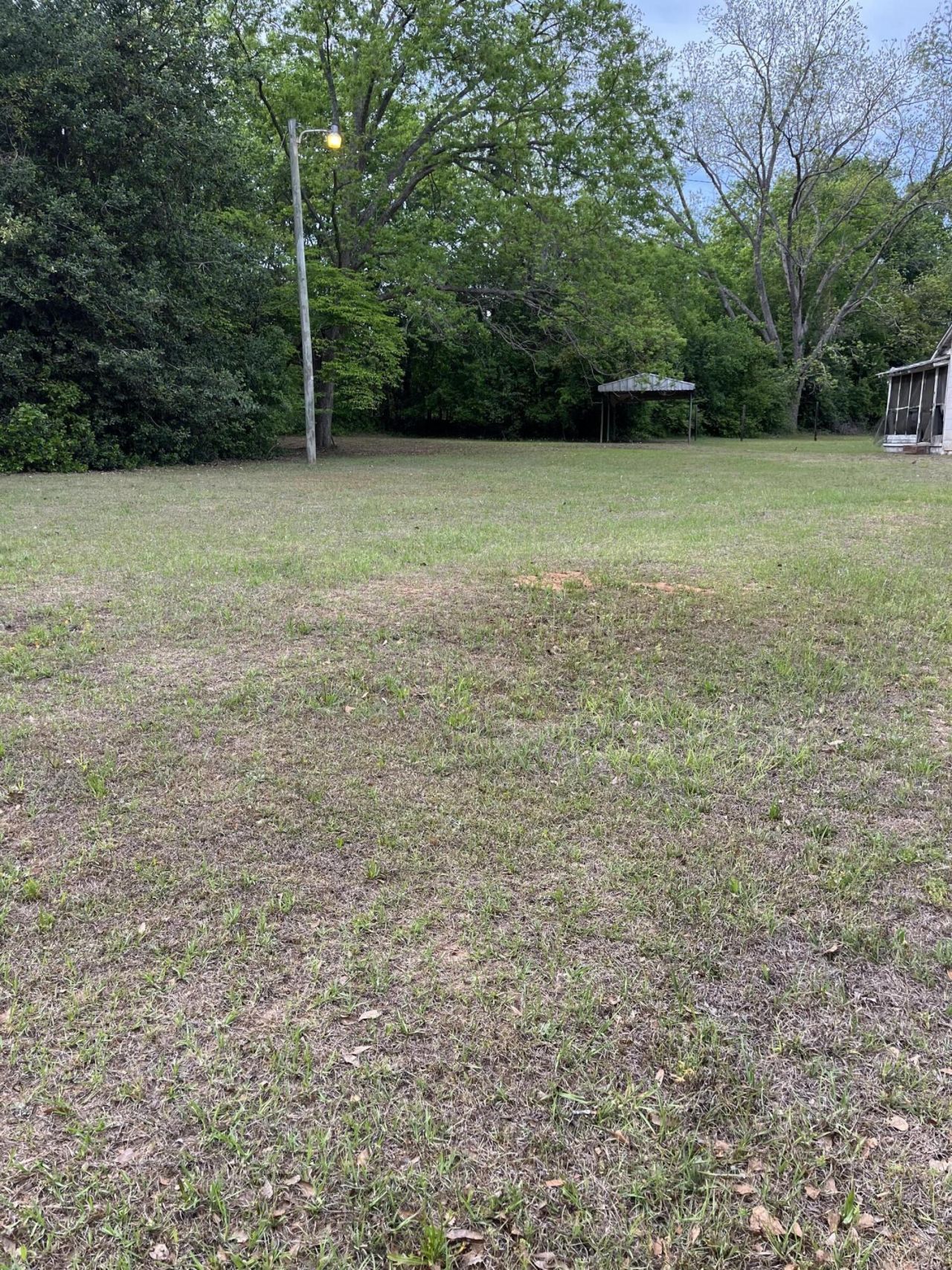 0 Dexter Street Photo 6