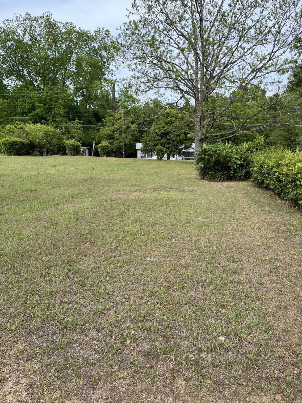 0 Dexter Street Photo 8