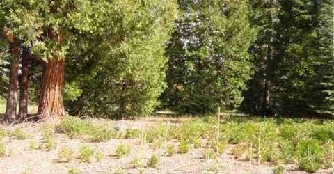 259 Dinsmore Drive, Lake Almanor, CA 96137 Photo