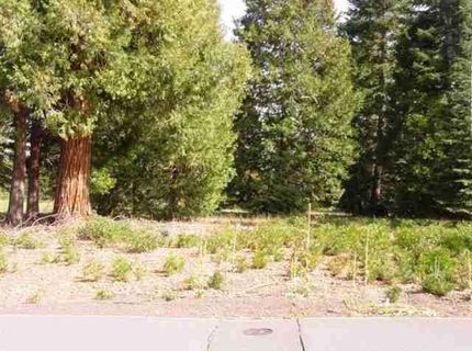 259 Dinsmore Drive, Lake Almanor, CA 96137 Photo