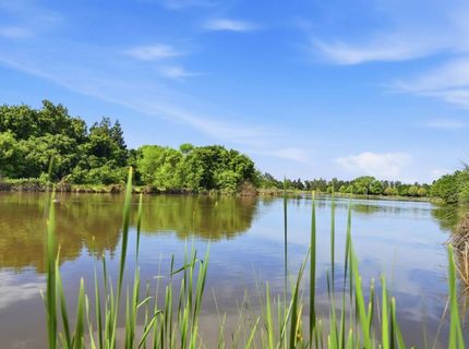 8904 Royal Gate Way, Elk Grove, CA 95624 Photo