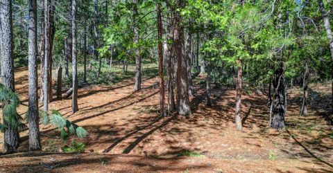 2548 Aspen Way, Arnold, CA 95223 Photo