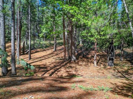 2548 Aspen Way, Arnold, CA 95223 Photo