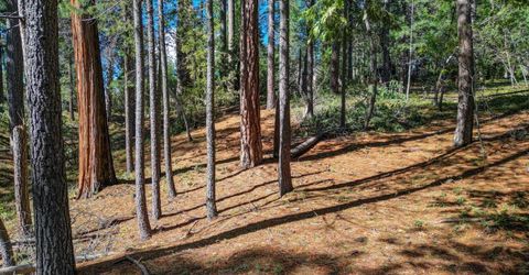 2548 Aspen Way, Arnold, CA 95223 Photo