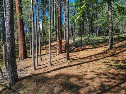 2548 Aspen Way, Arnold, CA 95223 Photo