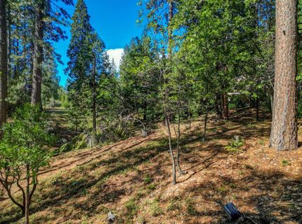 2548 Aspen Way, Arnold, CA 95223 Photo