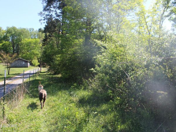 3780 Wayne Bryant Rd, Louisville, TN 37777