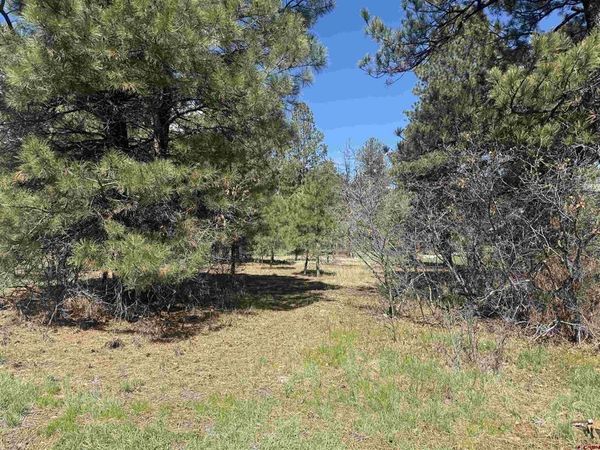 33 Granite Court, Pagosa Springs, CO 81147