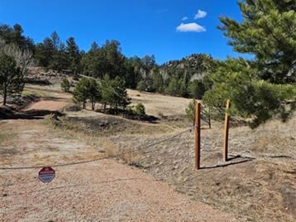 717 Canyon Drive, Florissant, CO 80816