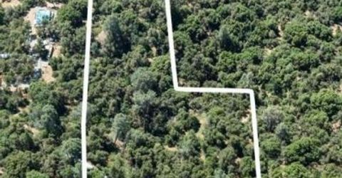 Cosumnes View Trl, Placerville, CA 95667 Photo