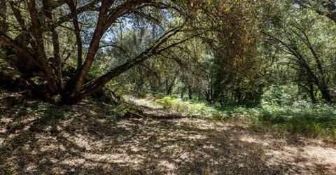 Cosumnes View Trl, Placerville, CA 95667 Photo