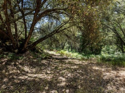 Cosumnes View Trl, Placerville, CA 95667 Photo