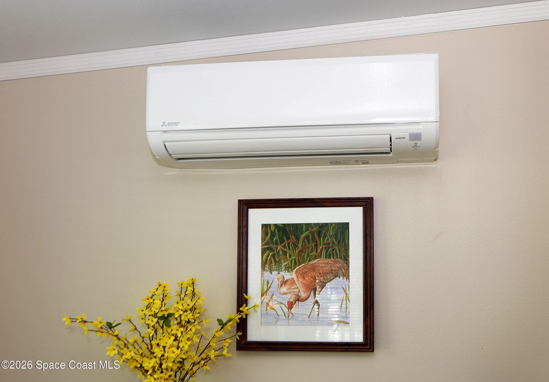 567 Dolphin Circle, Barefoot Bay, FL 32976 Photo