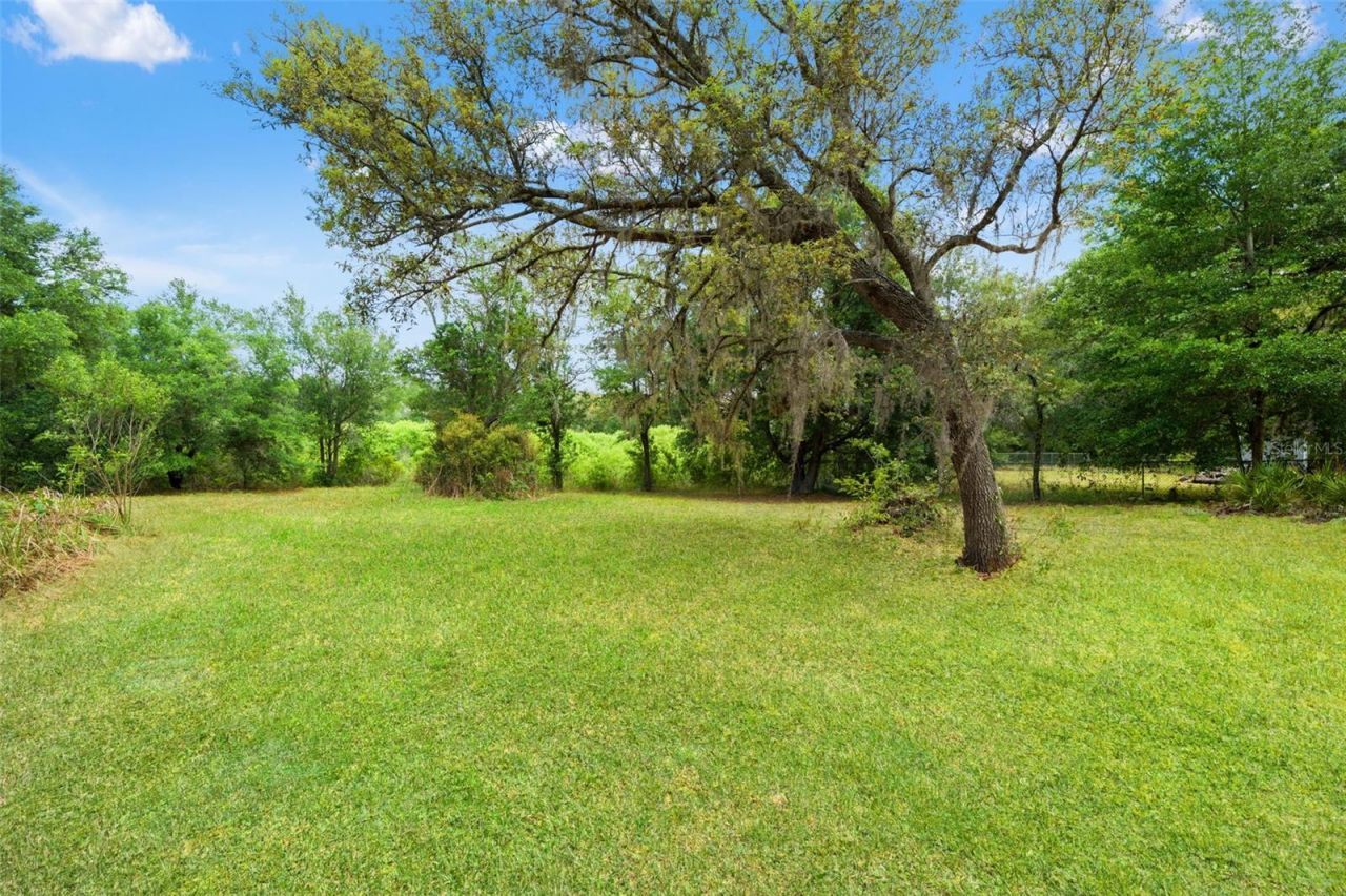 11099 Yellow Hammer Road, Weeki Wachee, FL 34614 Photo