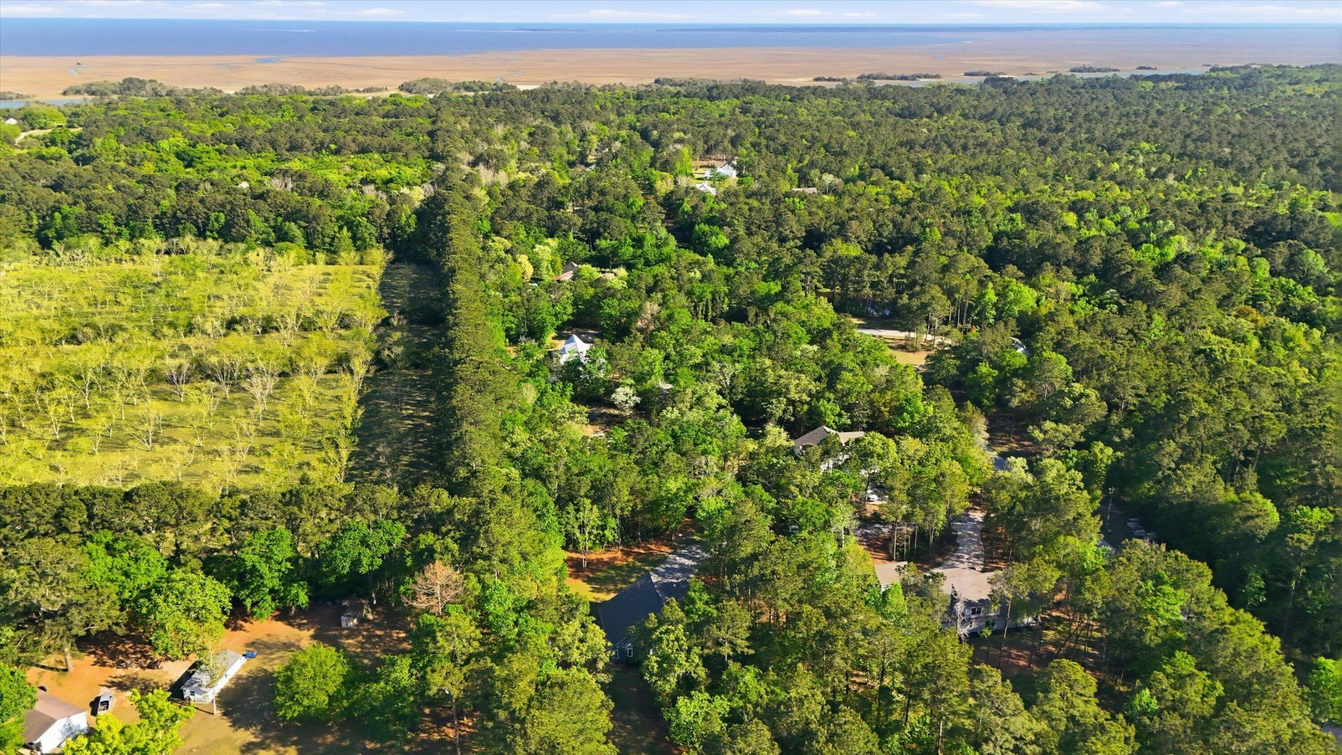 1024 Awendaw Lakes Boulevard Photo 40