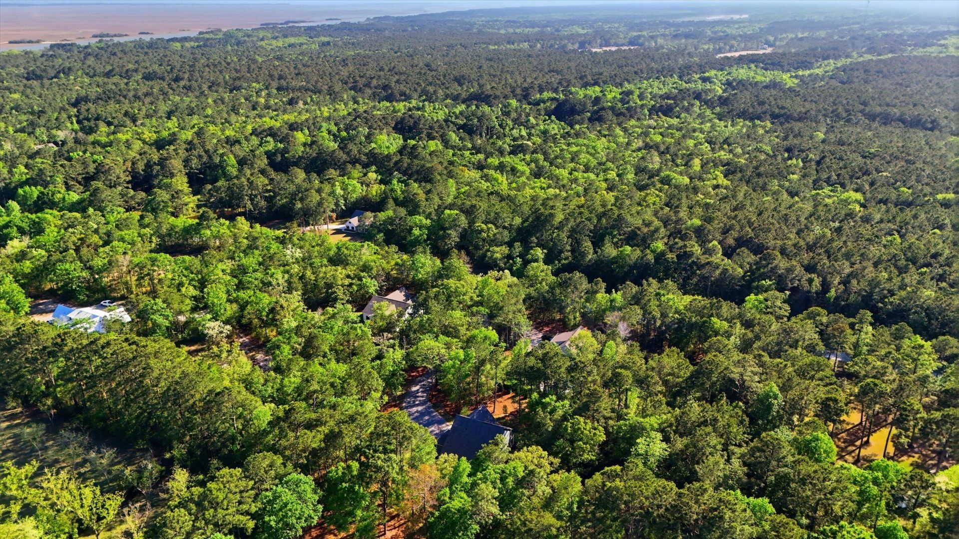 1024 Awendaw Lakes Boulevard Photo 41