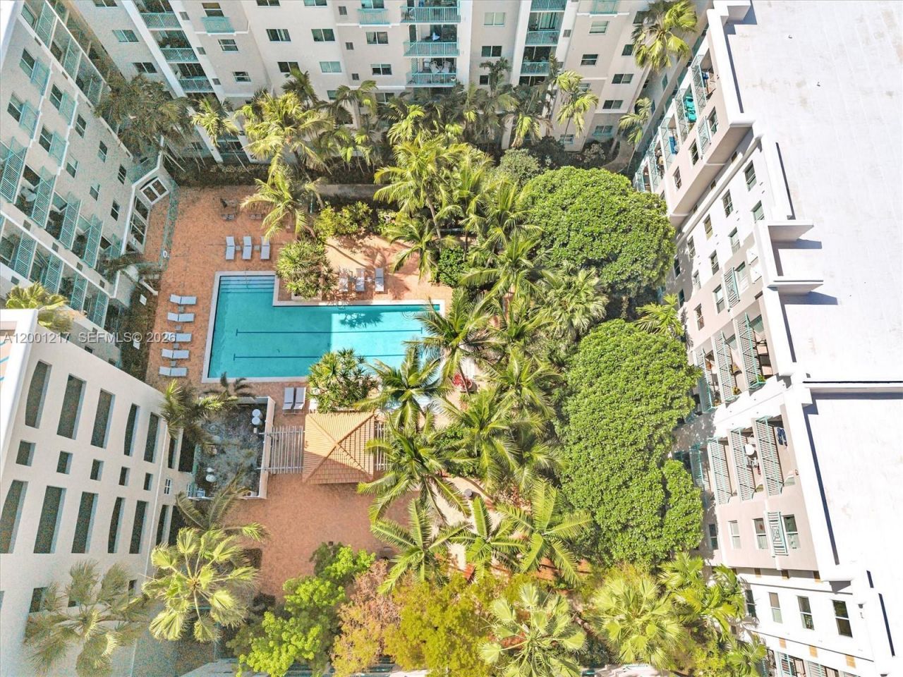 6001 SW 70th St, Unit 313, South Miami, FL 33143 Photo