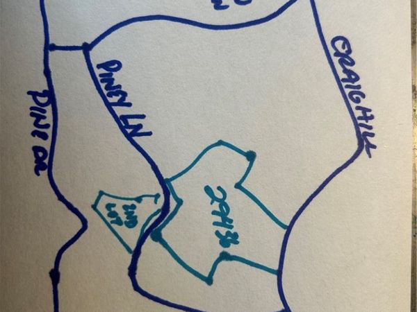 29436 Piney, Cedar Glen, CA 92321