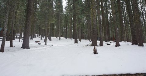 8517 Big Creek Road, Bucks Lake, CA 95956 Photo