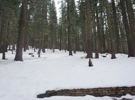 8517 Big Creek Road, Bucks Lake, CA 95956 Photo