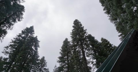 8517 Big Creek Road, Bucks Lake, CA 95956 Photo
