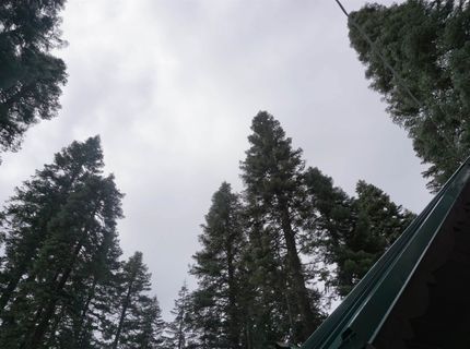 8517 Big Creek Road, Bucks Lake, CA 95956 Photo