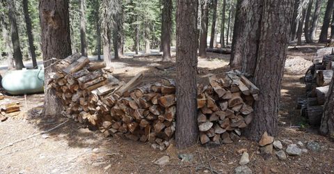 8517 Big Creek Road, Bucks Lake, CA 95956 Photo