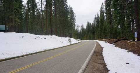 8517 Big Creek Road, Bucks Lake, CA 95956 Photo